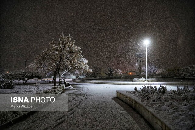 قطع برق در محدوده خیابان آزادی تا استقلال مشهد به دلیل سقوط درخت