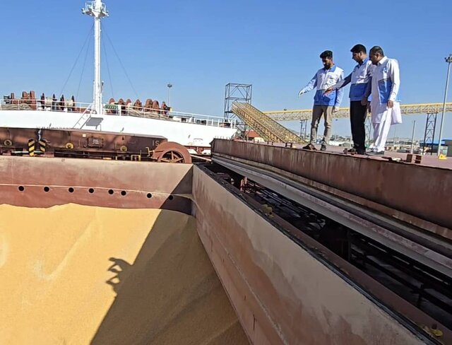 اطمینان از کیفیت نهاده‌های دامی ضرورت راهبردی برای حفظ سلامت جامعه