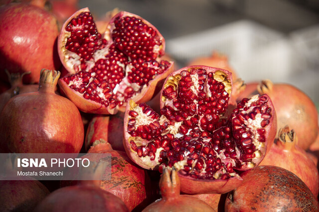 کدام برنامه‌های شب یلدا پربیننده‌تر بودند؟