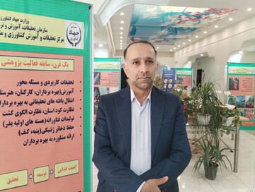 ورامین پیشتاز پژوهش آموزشی استان تهران/ کسب رتبه‌های برتر کشوری و استانی در هفته پژوهش