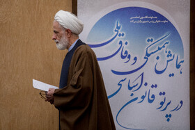  مجید انصاری، معاون حقوقی رئیس جمهور در همایش همبستگی و وفاق ملی در پرتو قانون اساسی