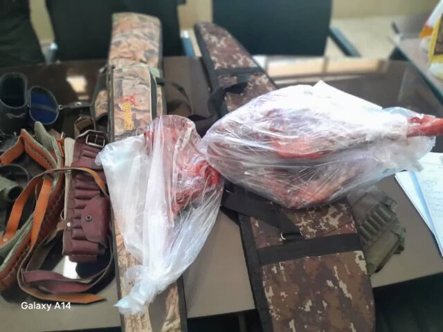 شبکه متخلفان شکار و صید اقلید به دام افتادند