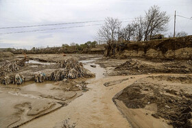 تخریب ۶۰۰۰ کیلومتر از جاده‌های عشایری فارس در سیل اخیر/ تلفات انسانی و دامی نداشتیم