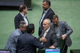 صحن علنی مجلس - ۲ دی