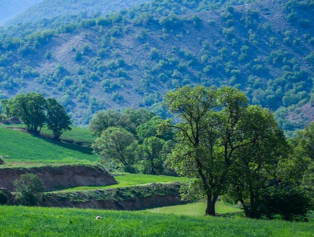 جنبش ملی سرمایه‌گذاری در سپیدان/ نگین سبز فارس آماده پرواز اقتصادی و گردشگری می‌شود