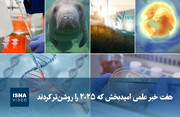 ویدیو/ هفت خبر علمی امیدبخش که ۲۰۲۵ را روشن‌تر کردند