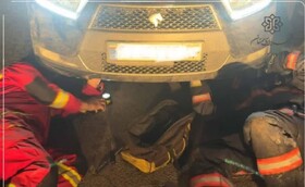 گربه بازیگوش آتش‌نشانان را به عملیات کشاند/ لزوم بازرسی بصری خودرو در فصول سرد