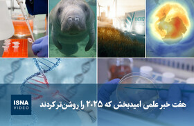 ویدیو/ هفت خبر علمی امیدبخش که ۲۰۲۵ را روشن‌تر کردند