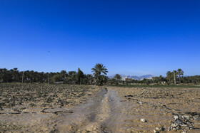 وضعیت مناطق سیل زده جنوب استان کرمان- فاریاب