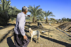 بازدید از مناطق سیل زده جنوب استان کرمان
