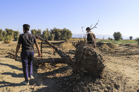 وضعیت مناطق سیل زده جنوب استان کرمان- فاریاب