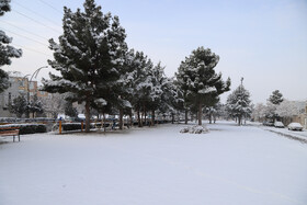 بارش برف در شهر زنجان