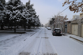 بارش برف در شهر زنجان