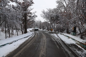 بارش برف در شهر زنجان