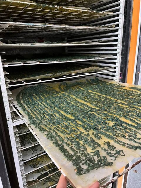 صنعت نوظهور که میتواند امنیت غذایی کشور را تضمین کند