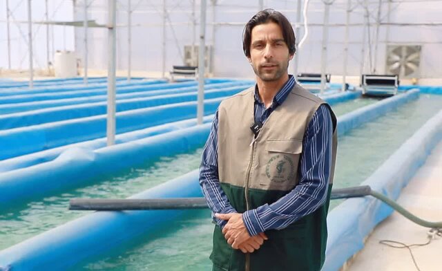 صنعت نوظهور که میتواند امنیت غذایی کشور را تضمین کند