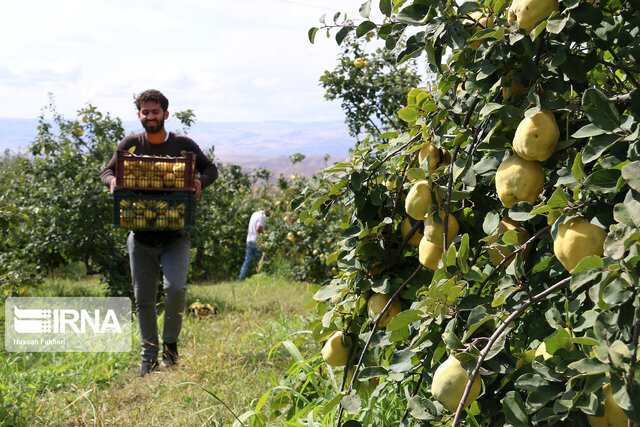مبلغ کمک دولت به اتاق تعاون/معافیت تعاونی‌های روستایی از پرداخت حق ثبت