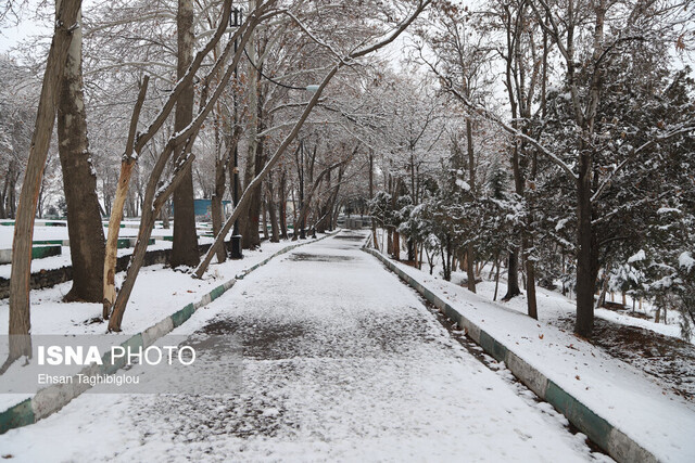 بارش برف در شهر زنجان