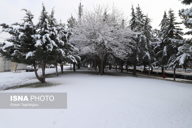 بارش ۲۷ میلیمتری در فرومد/ بارش برف در راه استان سمنان