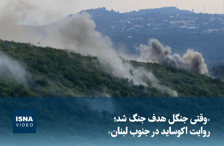 ویدیو/ «وقتی جنگل هدف جنگ شد؛ روایت اکوساید در جنوب لبنان»