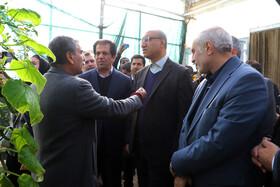 بازدید منوچهر حبیبی  استاندار کرمانشاه و فضل اله رنجبر و محمد رشیدی نمایندگان مجلس از یک مرکز دانش بنیان کشاورزی در بخش فیروزآباد