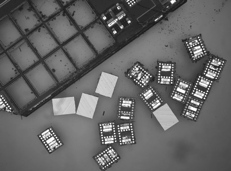 کوچک‌ترین ربات‌ جهان ساخته شد