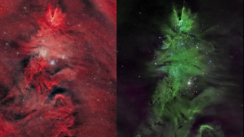 درخشش درخت کریسمس در دل فضا