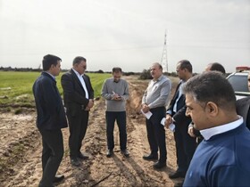 کشاورزان تحول‌آفرین دهلرانی در لیست کشاورز نمونه کشوری