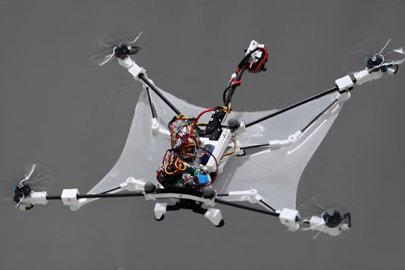 برجستهترین تقلیدهای دنیای علم و فناوری از طبیعت در سال ۲۰۲۵