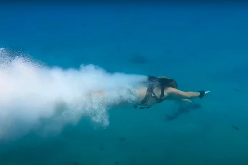 برجستهترین تقلیدهای دنیای علم و فناوری از طبیعت در سال ۲۰۲۵