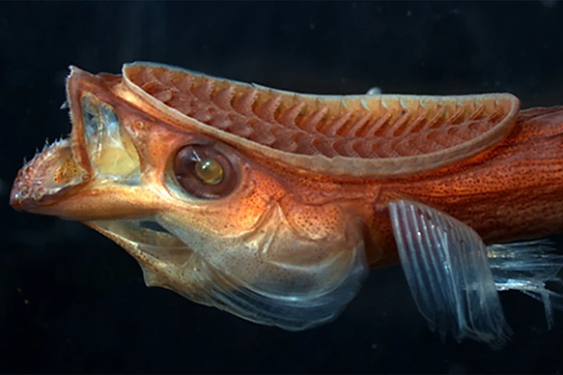 برجستهترین تقلیدهای دنیای علم و فناوری از طبیعت در سال ۲۰۲۵