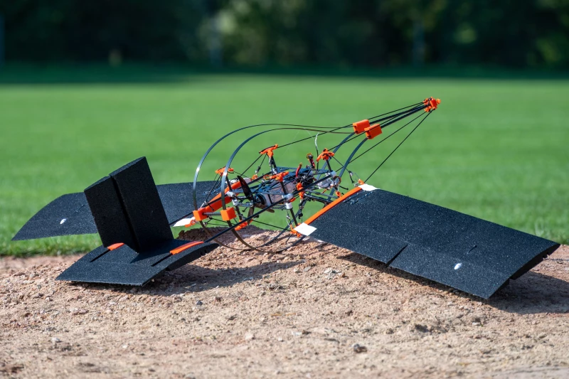 برجستهترین تقلیدهای دنیای علم و فناوری از طبیعت در سال ۲۰۲۵