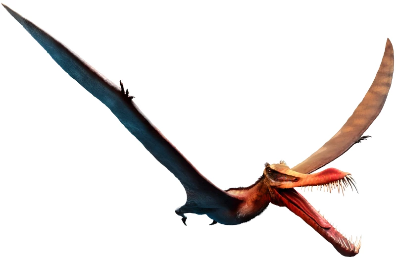 برجستهترین تقلیدهای دنیای علم و فناوری از طبیعت در سال ۲۰۲۵