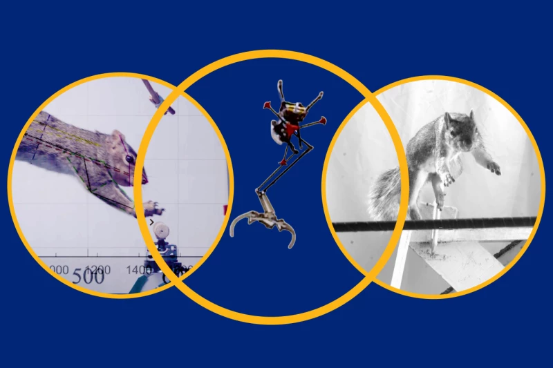 برجستهترین تقلیدهای دنیای علم و فناوری از طبیعت در سال ۲۰۲۵