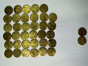 کشف ۳۷ سکه ساسانی در اسدآباد