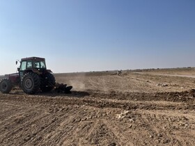 اجرای مزرعه PVS گندم با هدف تعیین بهترین ارقام کشت در سمنان