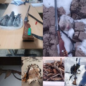 کشف و ضبط ۶ قبضه سلاح و ۱۰ تخلف زیست محیطی طی ۹ ماهه امسال در بویراحمد