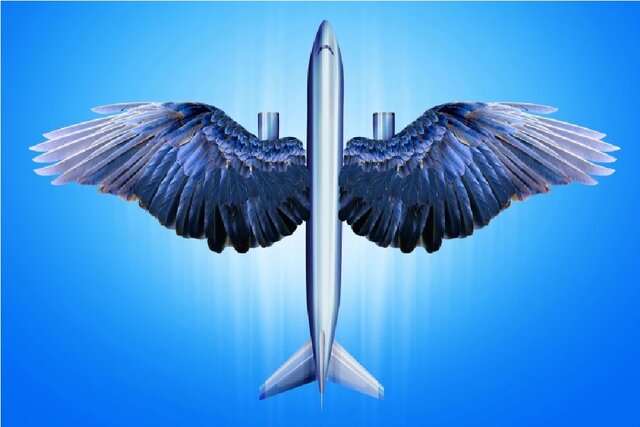 برجسته‌ترین تقلیدهای دنیای علم و فناوری از طبیعت در سال ۲۰۲۵