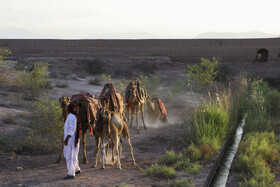 شفیع‌آباد شهداد، بهترین روستاهای گردشگری جهان ۲۰۲۵