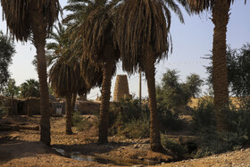 کاروانسرای شفیعآباد ، که قدمتش به دوره قاجاریه برمیگردد، به علت محل قرارگیری آن و همنشینی با کلوتها، از روزگاران قدیم بهعنوان آخرین توقفگاه کاروانها پیش از ورود به کویر بهحساب میآید.