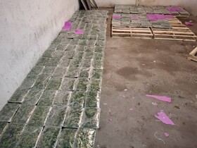  جاساز سیب در مرز آستارا لو رفت/ کشف ۱۲۹ کیلوگرم مخدر گل