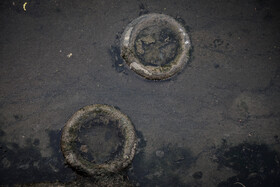 خارش شدید، قرمزی و گاهی تورم در ناحیه نیش پشه از نشانه‌های معمول و اولیه گزش است.