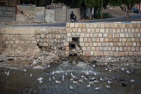 برای تب دنگی درمان اختصاصی وجود ندارد؛ پیشگیری بهترین راه است.