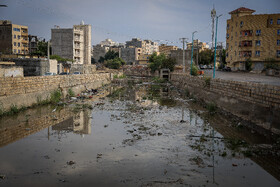 با تغییرات اقلیمی و گرمی هوا، احتمال افزایش جمعیت پشه‌های آئدس بخصوص در جنوب ایران بیشتر شده است.