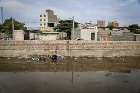 بی توجهی به مسئله بهداشت شهری و عدم پاکسازی خورهای موجود در شهر، یکی از دلایل اصلی افزایش جمعیت پشه آئدس است.