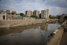 برخلاف بیشتر پشه‌ها، آئدس در روز و صبح زود بیش از شب فعال است. 