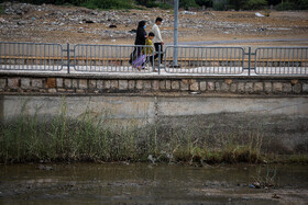 خورهای بندرعباس را شاید بتوان زایشگاه پشه آئدس در دل شهر نامید.