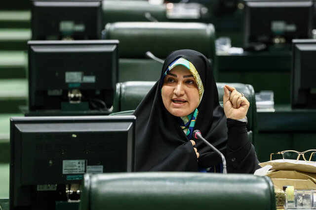 انتقاد رئیس فراکسیون محیط زیست مجلس از بودجه این حوزه در سال آینده