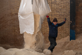 محل تخلیه شکر خام در کارخانه قند اصفهان