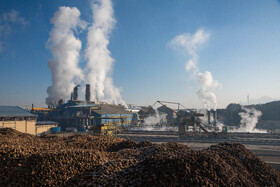 این کارخانه دارای ظرفیت استحصال ۴۰۰ هزار تن چغندر در هر دوره بهره‌برداری است.